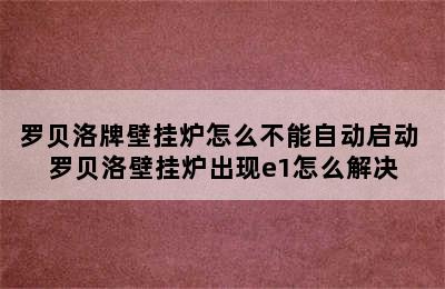 罗贝洛牌壁挂炉怎么不能自动启动 罗贝洛壁挂炉出现e1怎么解决